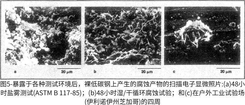 圖5-暴露于各種測(cè)試環(huán)境后，裸低碳鋼上產(chǎn)生的腐蝕產(chǎn)物的掃描電子顯微照片